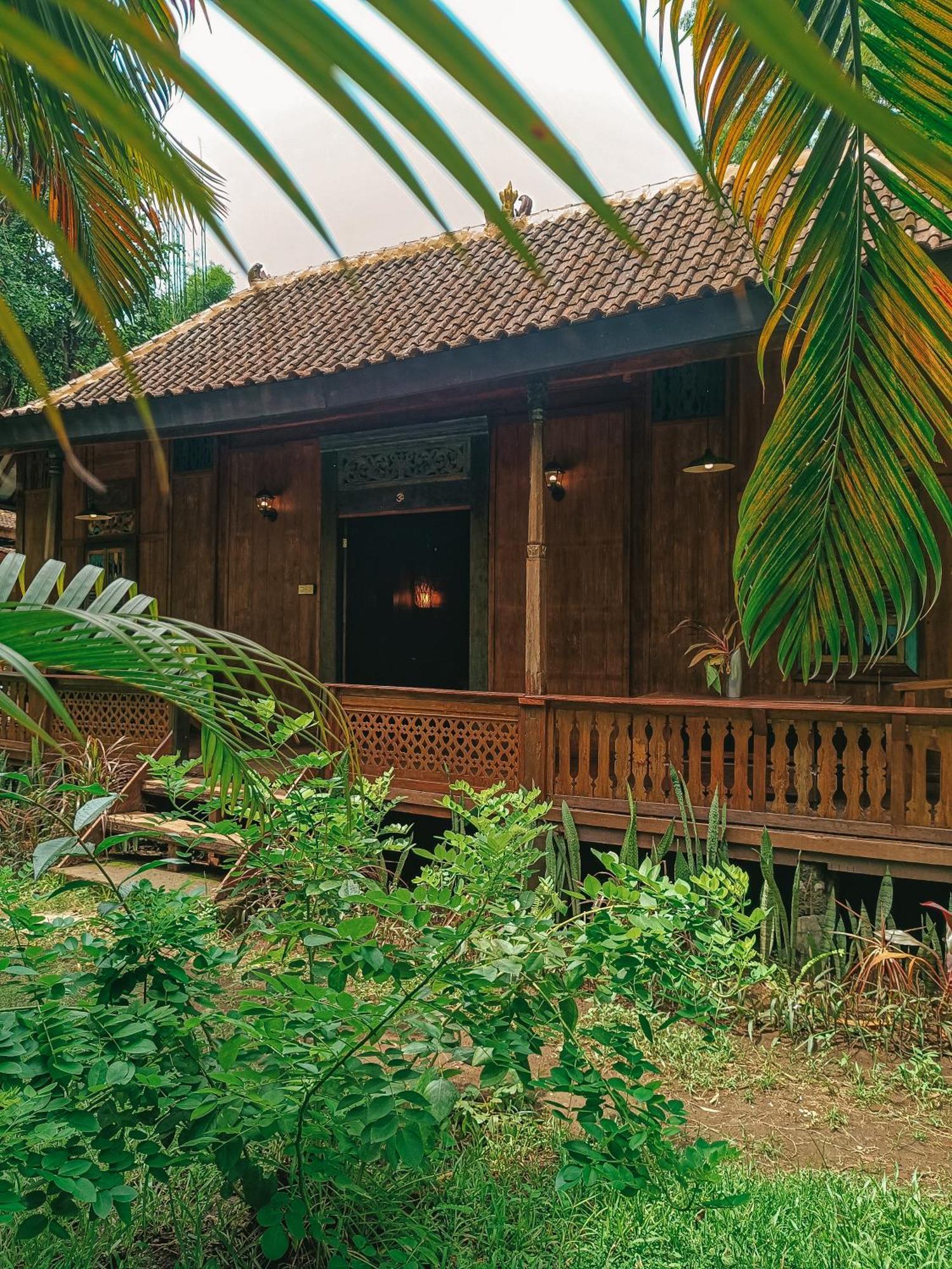 Alaya Ecolodge Pemuteran  Exterior photo