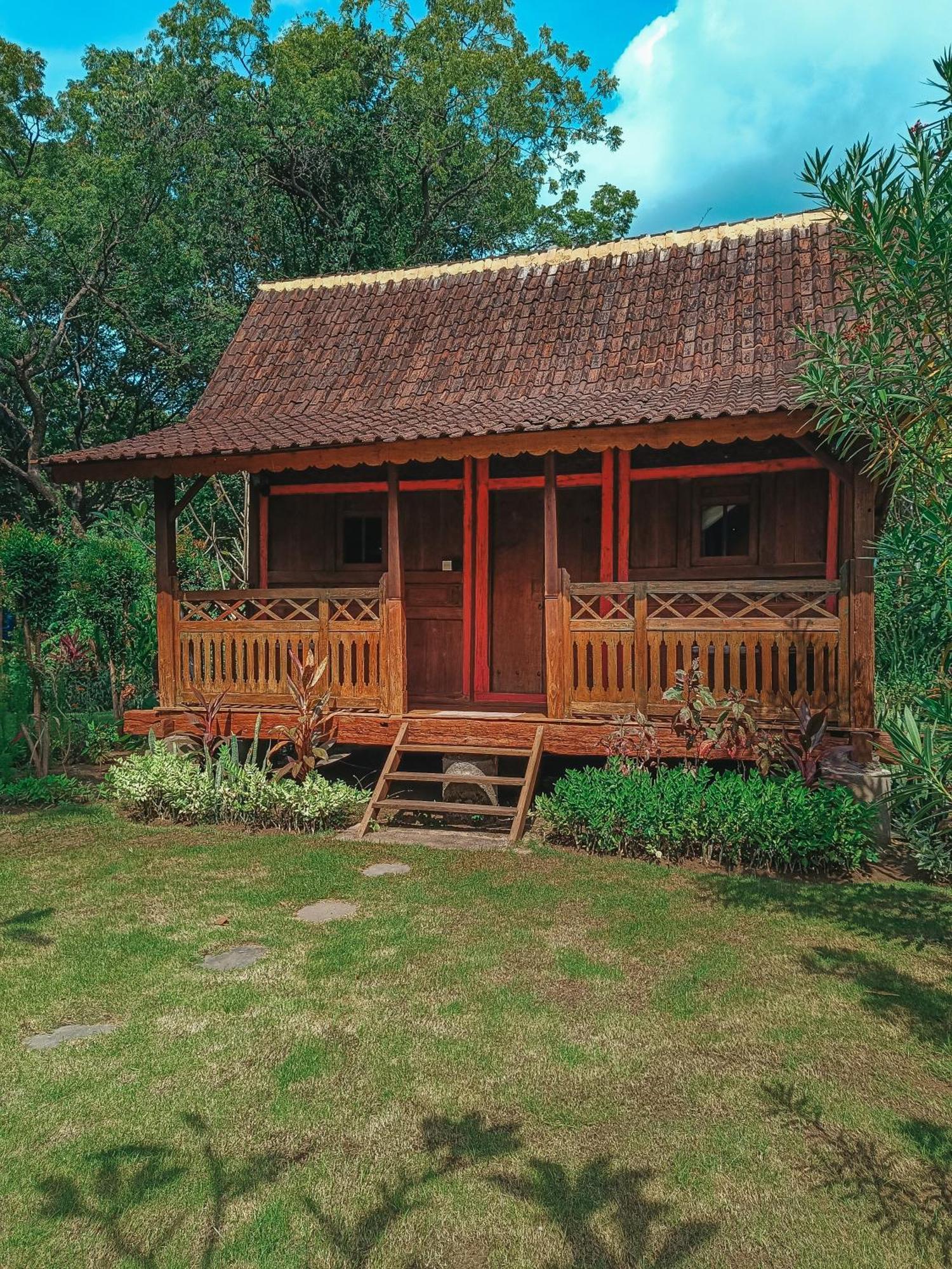 Alaya Ecolodge Pemuteran  Exterior photo
